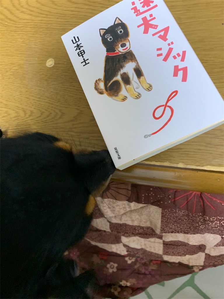 f:id:goukakuigakubu:20230123080142j:image f:id:goukakuigakubu:20230123080142j:image
