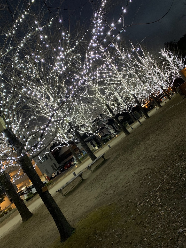 f:id:goukakuigakubu:20230123083846j:image f:id:goukakuigakubu:20230123083846j:image