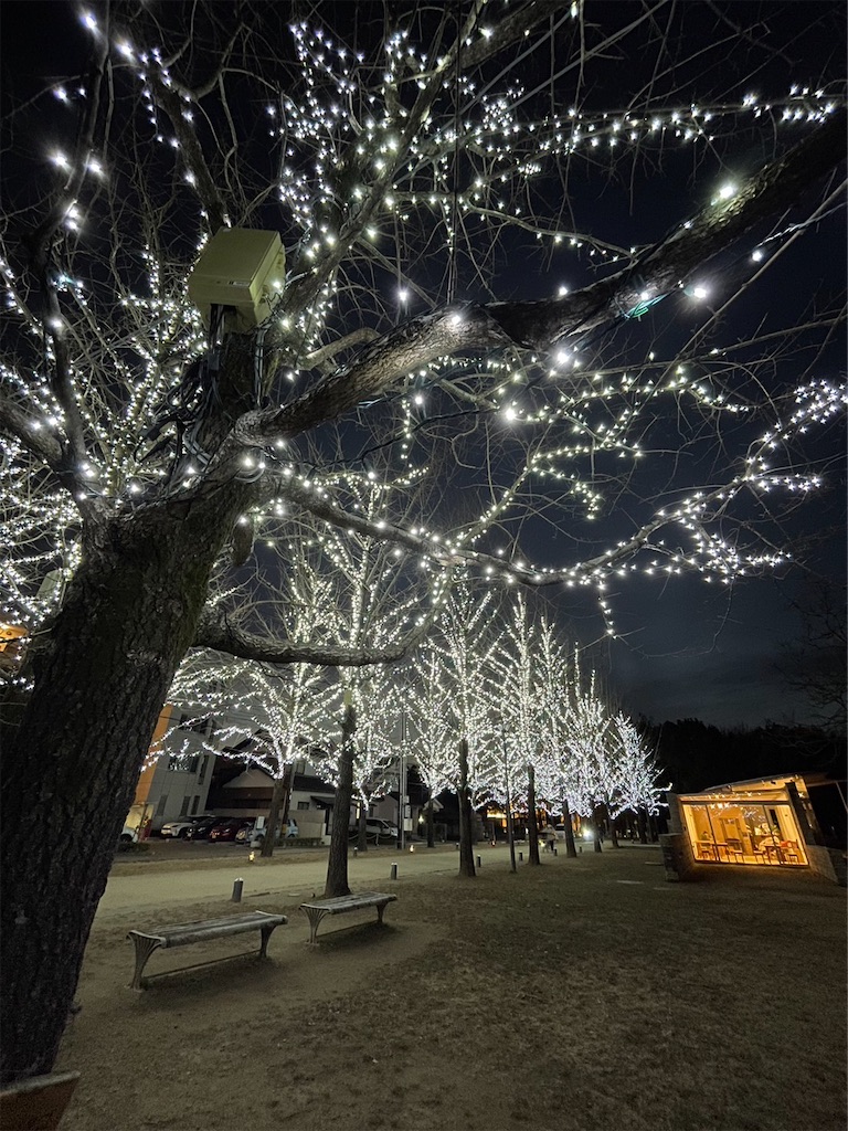 f:id:goukakuigakubu:20230123083849j:image f:id:goukakuigakubu:20230123083849j:image