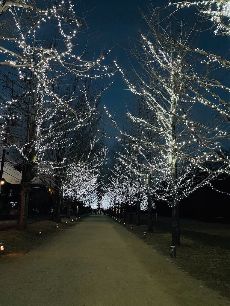 f:id:goukakuigakubu:20230123083852j:image f:id:goukakuigakubu:20230123083852j:image