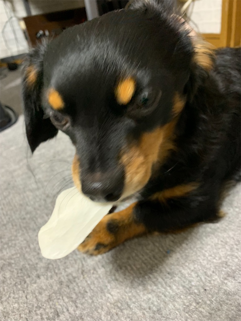 f:id:goukakuigakubu:20230202211036j:image