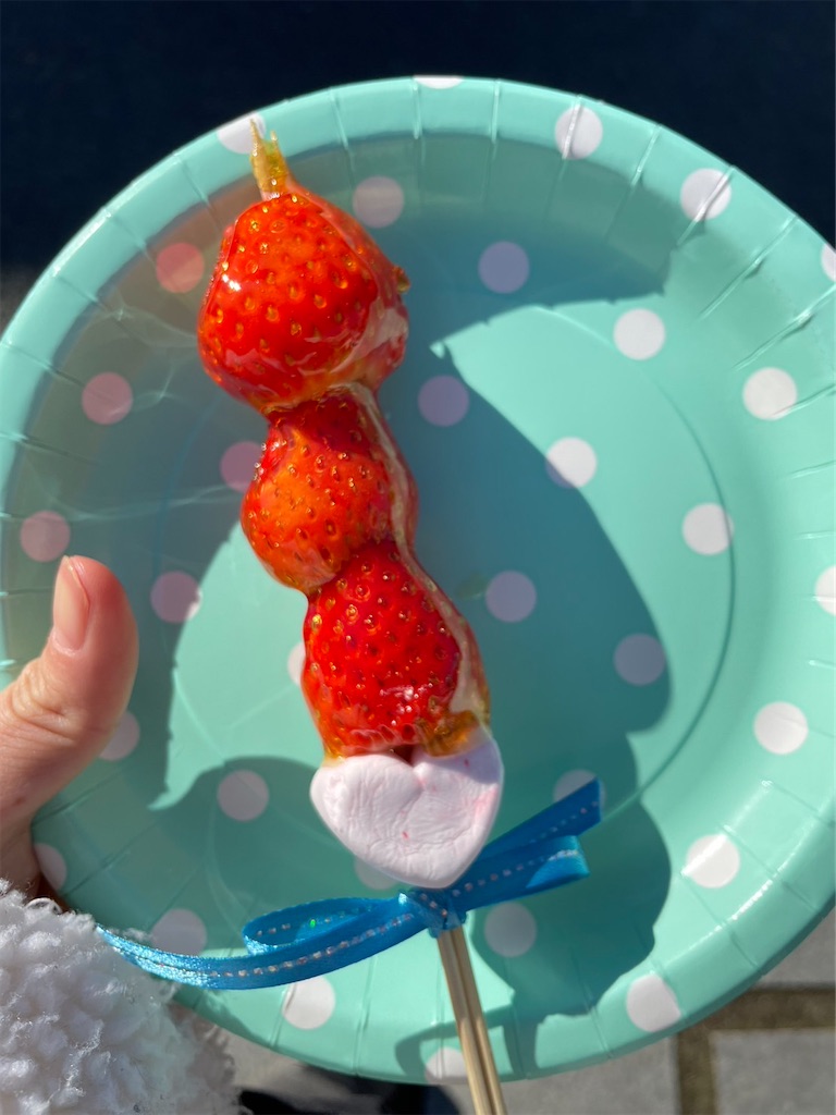 f:id:goukakuigakubu:20230205210438j:image f:id:goukakuigakubu:20230205210438j:image