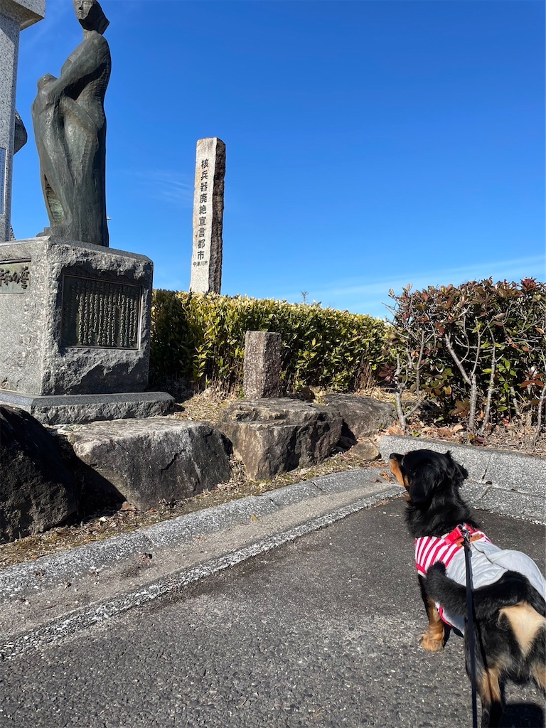 f:id:goukakuigakubu:20230206160058j:image