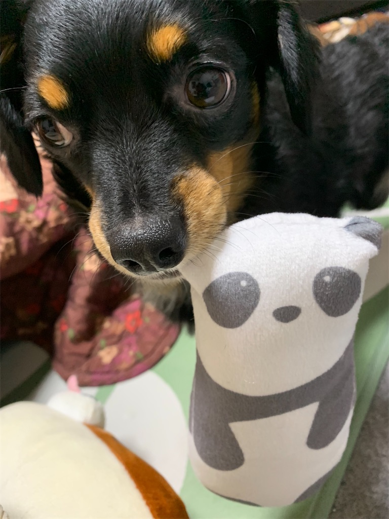 f:id:goukakuigakubu:20230207164713j:image