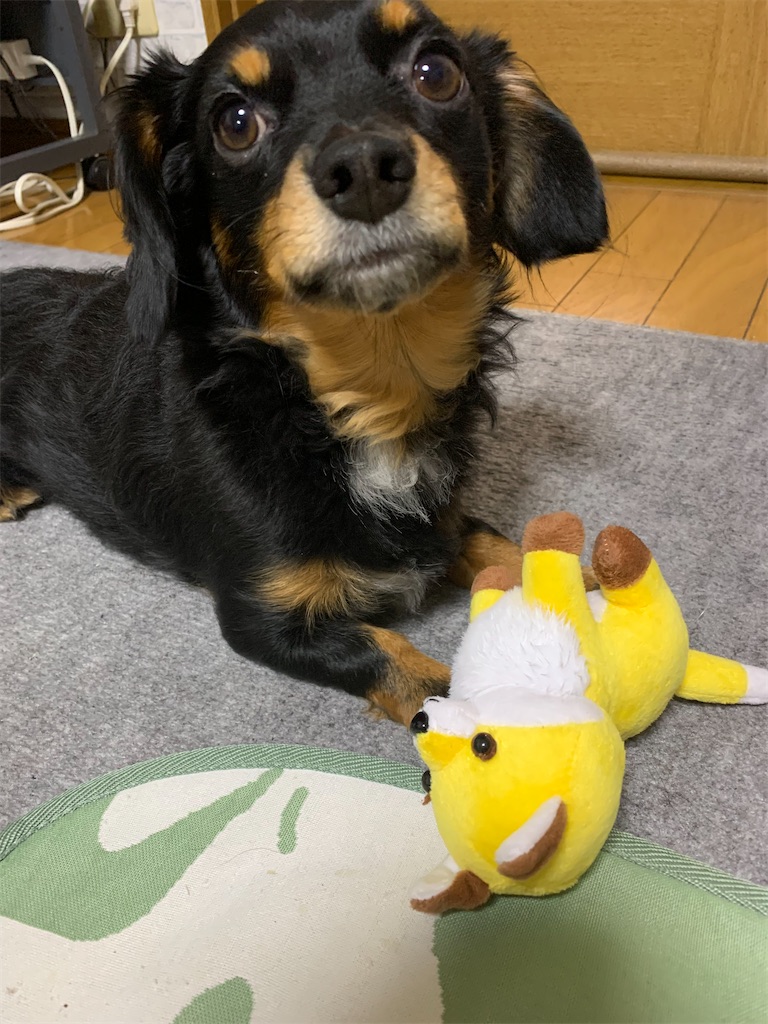 f:id:goukakuigakubu:20230210220208j:image f:id:goukakuigakubu:20230210220208j:image