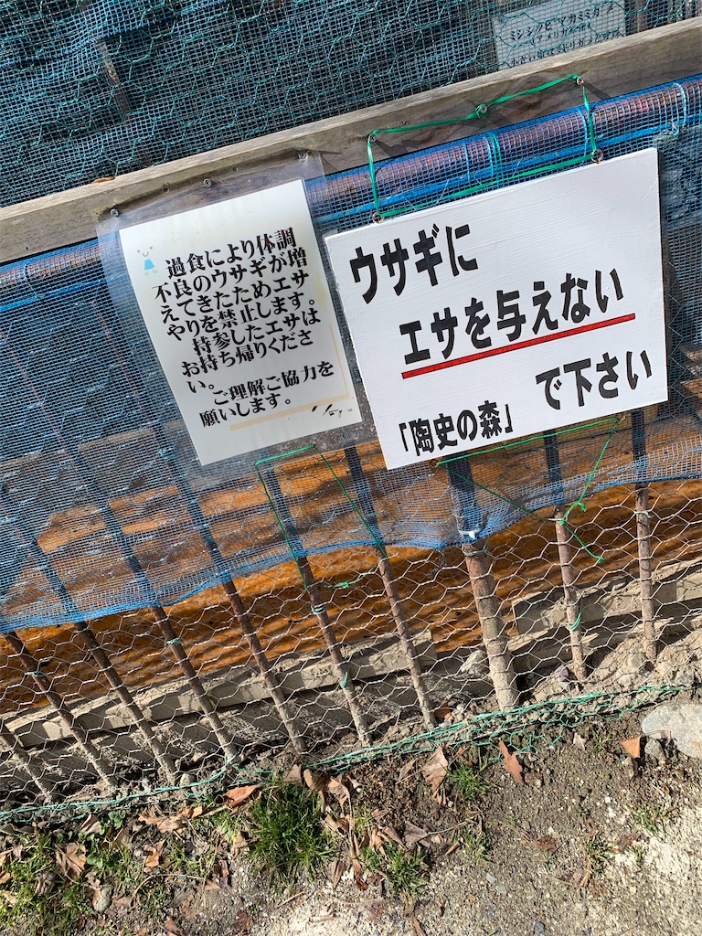 f:id:goukakuigakubu:20230211171012j:image f:id:goukakuigakubu:20230211171012j:image
