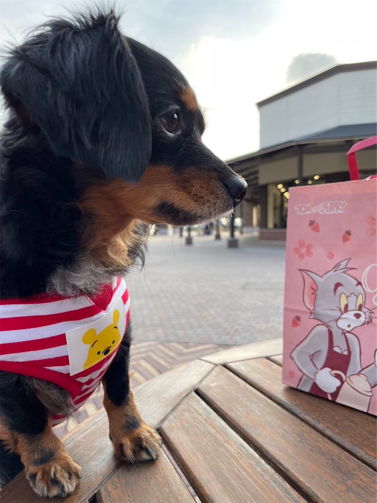 f:id:goukakuigakubu:20230215121158j:image