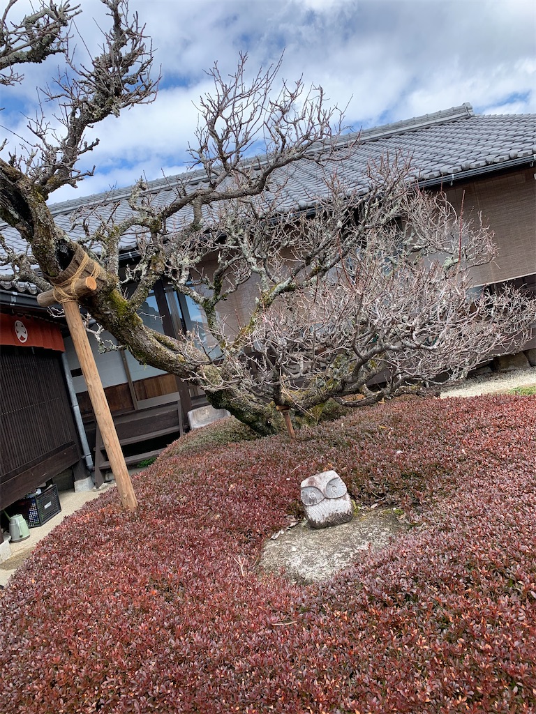 f:id:goukakuigakubu:20230225204829j:image