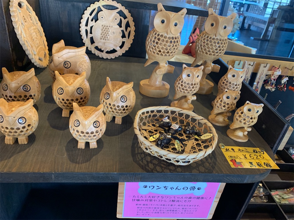 f:id:goukakuigakubu:20230225204832j:image