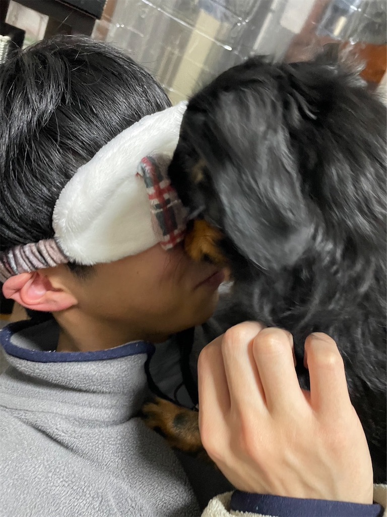 f:id:goukakuigakubu:20230226064210j:image