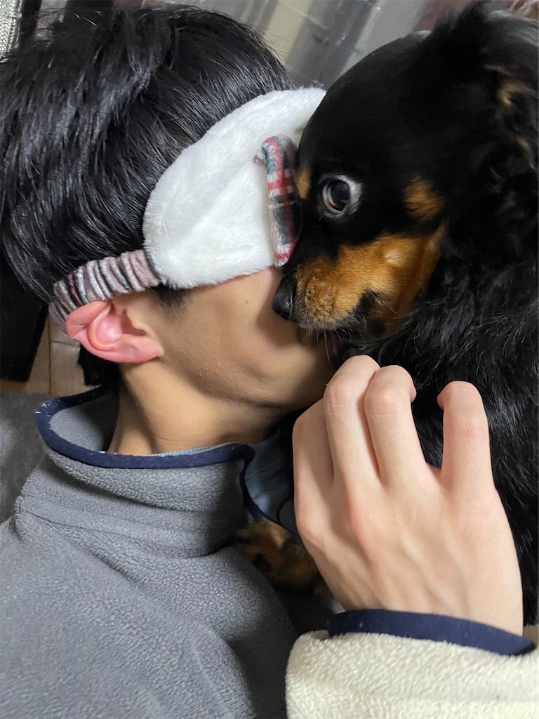 f:id:goukakuigakubu:20230226064213j:image