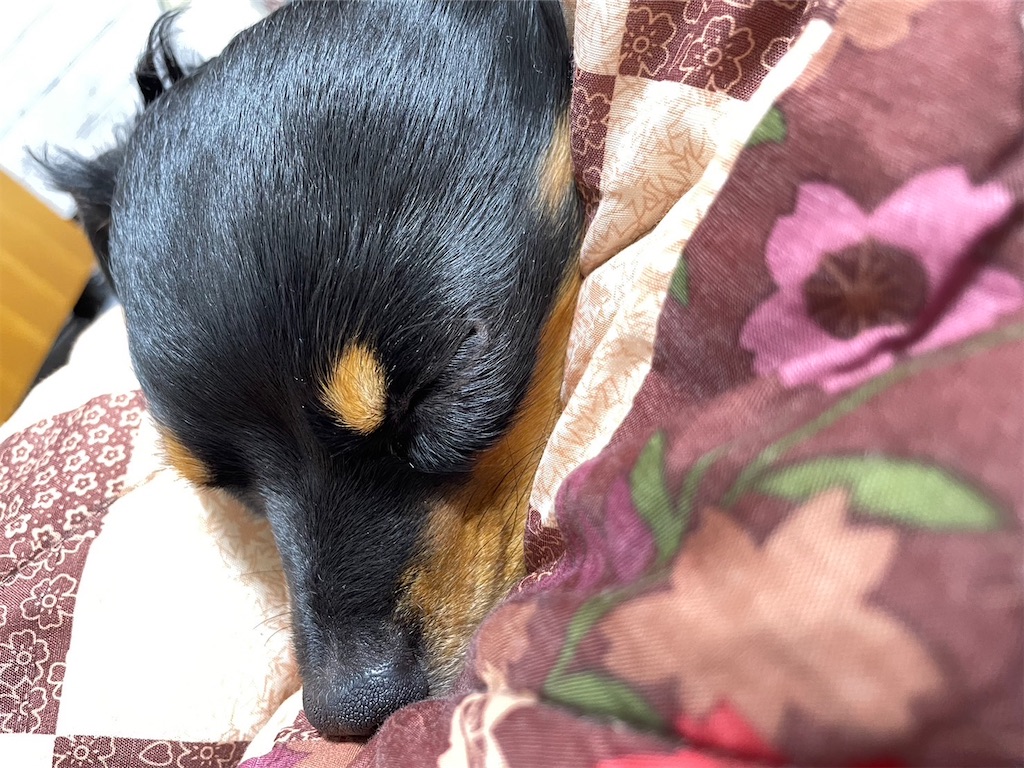 f:id:goukakuigakubu:20230227105847j:image