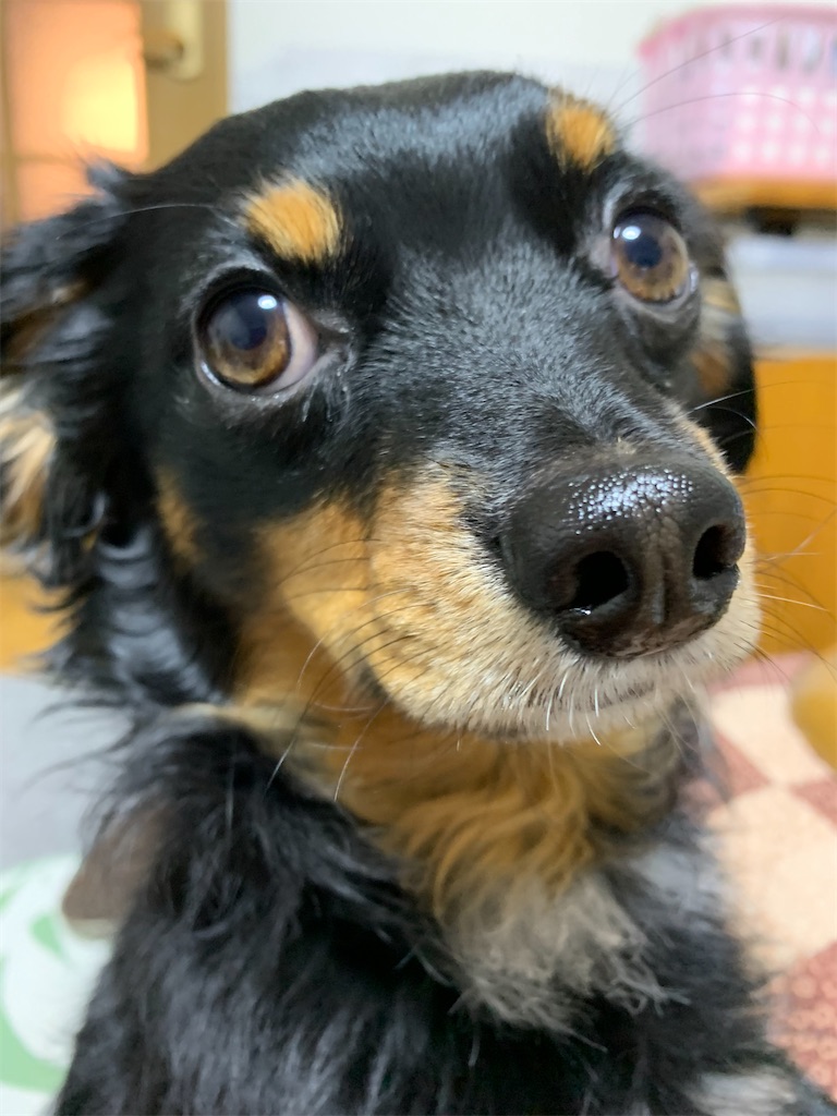 f:id:goukakuigakubu:20230301112256j:image