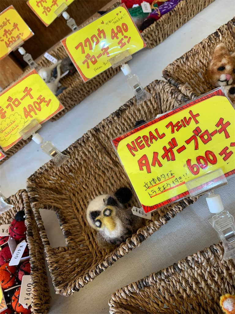 f:id:goukakuigakubu:20230304233040j:image