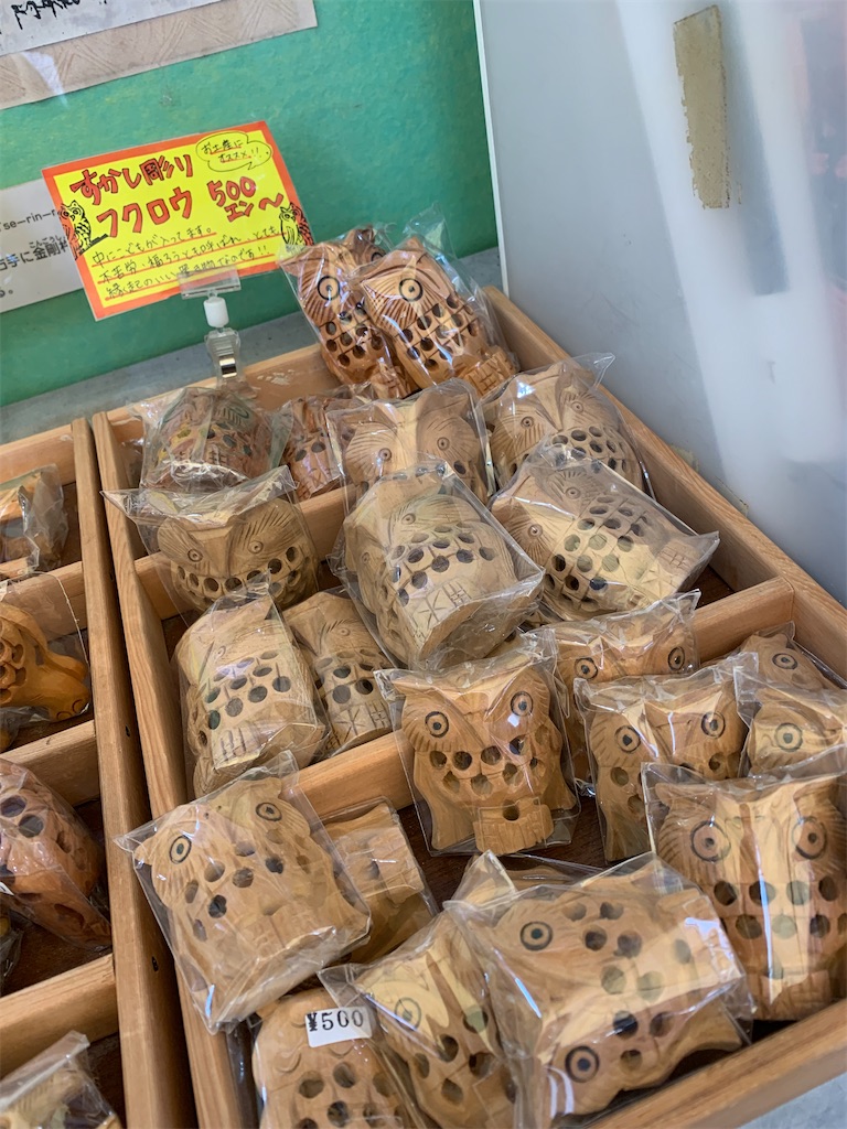 f:id:goukakuigakubu:20230304233046j:image