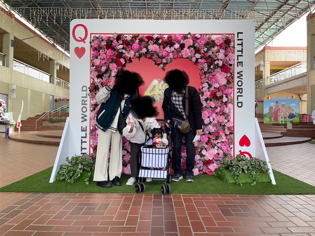 f:id:goukakuigakubu:20230305071340j:image