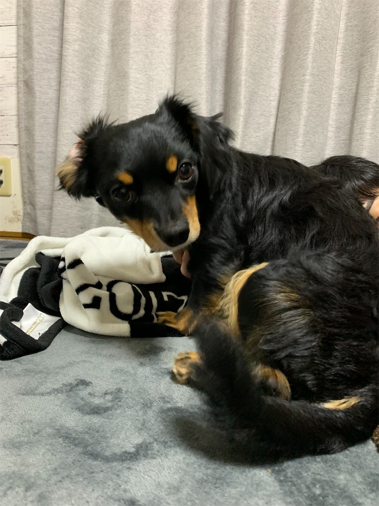 f:id:goukakuigakubu:20230311113043j:image f:id:goukakuigakubu:20230311113043j:image