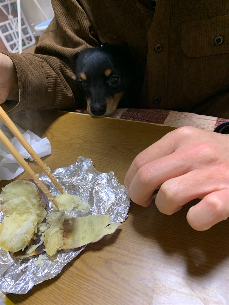 f:id:goukakuigakubu:20230313225341j:image