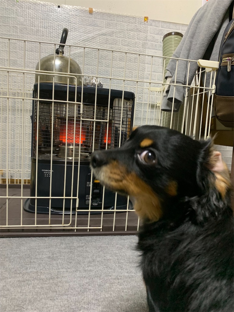 f:id:goukakuigakubu:20230314102740j:image f:id:goukakuigakubu:20230314102740j:image
