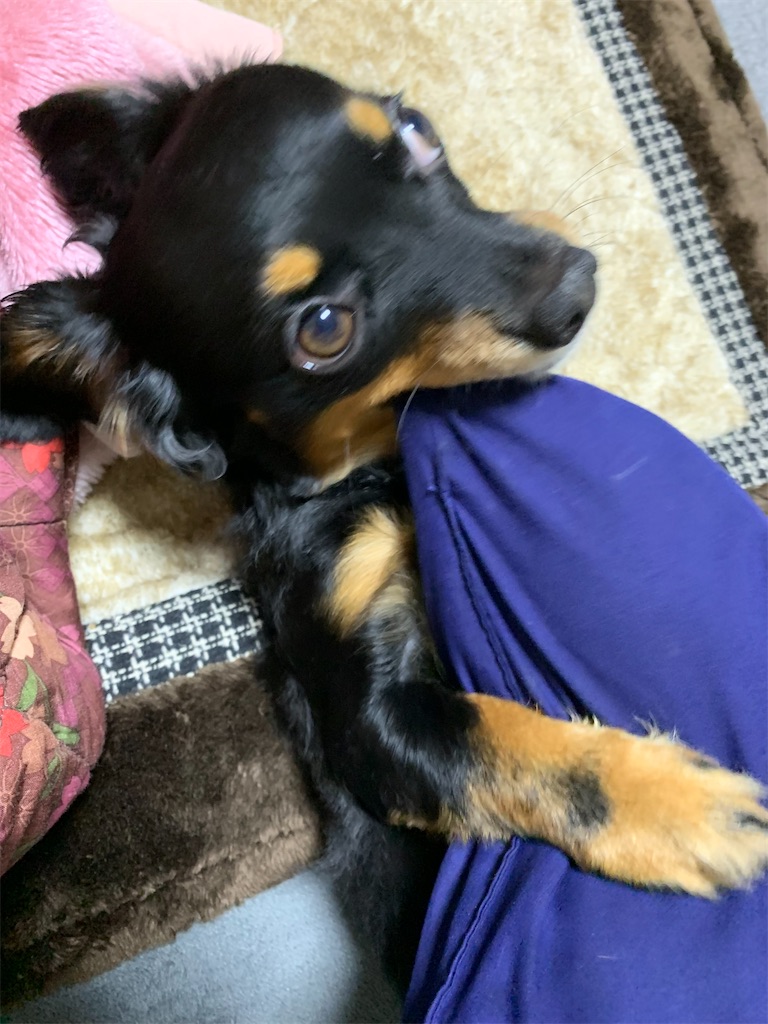 f:id:goukakuigakubu:20230315122246j:image