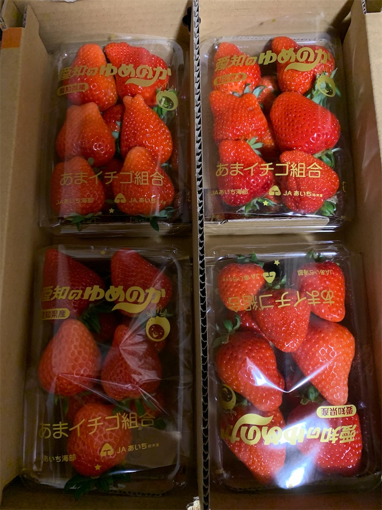 f:id:goukakuigakubu:20230319202749j:image