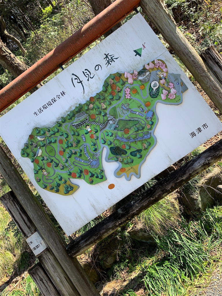 f:id:goukakuigakubu:20230320183204j:image f:id:goukakuigakubu:20230320183204j:image