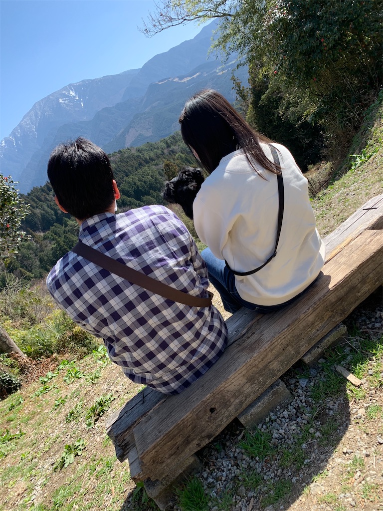 f:id:goukakuigakubu:20230321165250j:image f:id:goukakuigakubu:20230321165250j:image