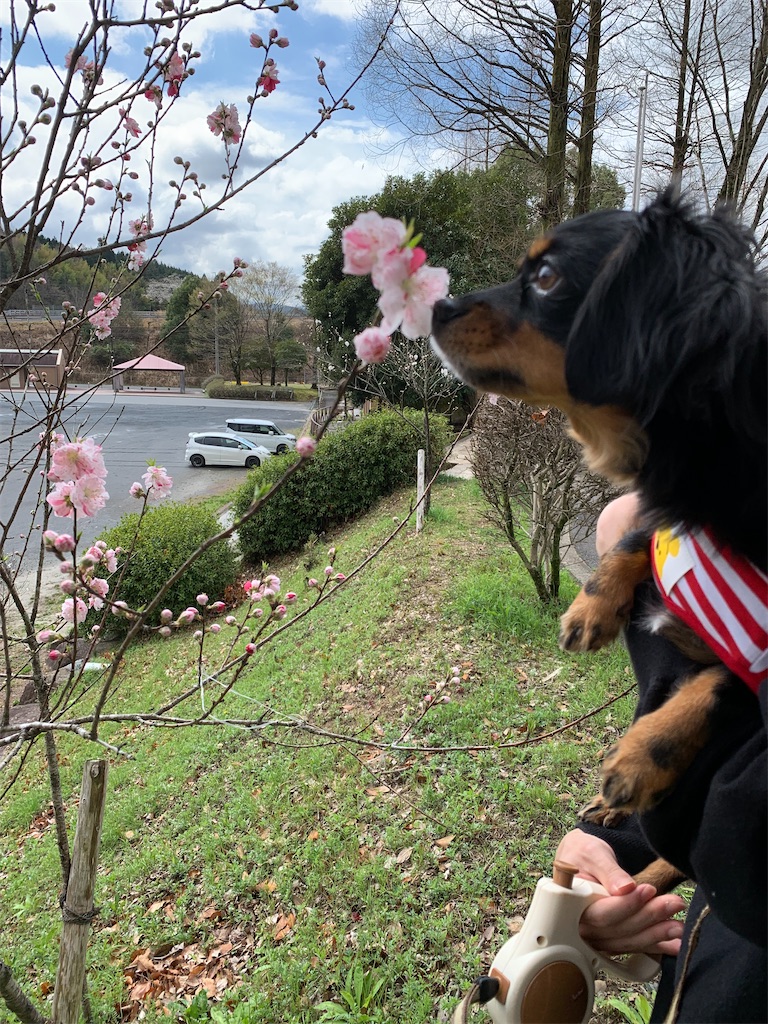 f:id:goukakuigakubu:20230324194522j:image