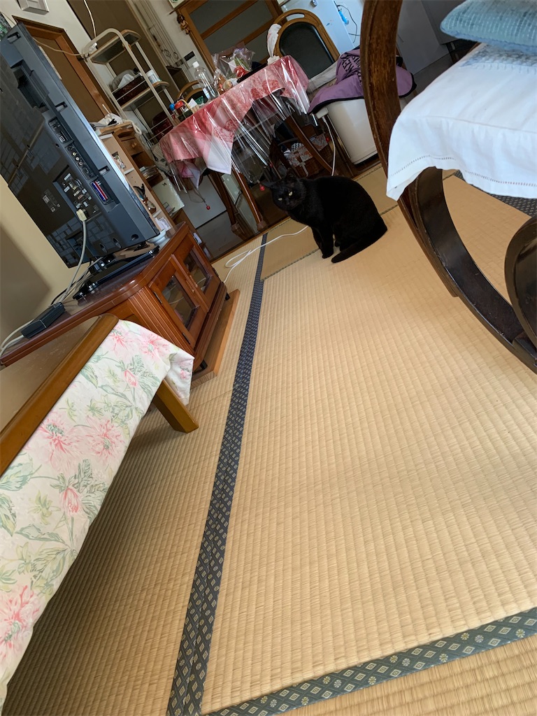 f:id:goukakuigakubu:20230330155826j:image
