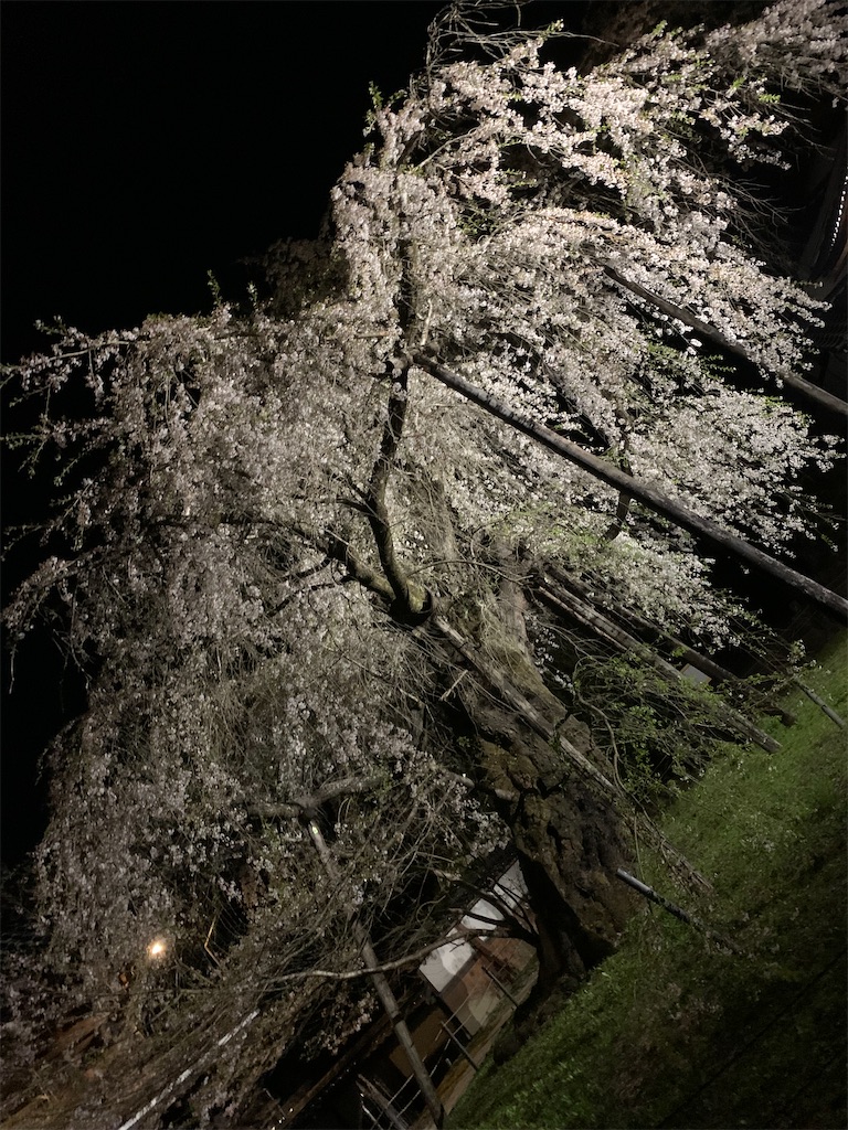 f:id:goukakuigakubu:20230405194853j:image