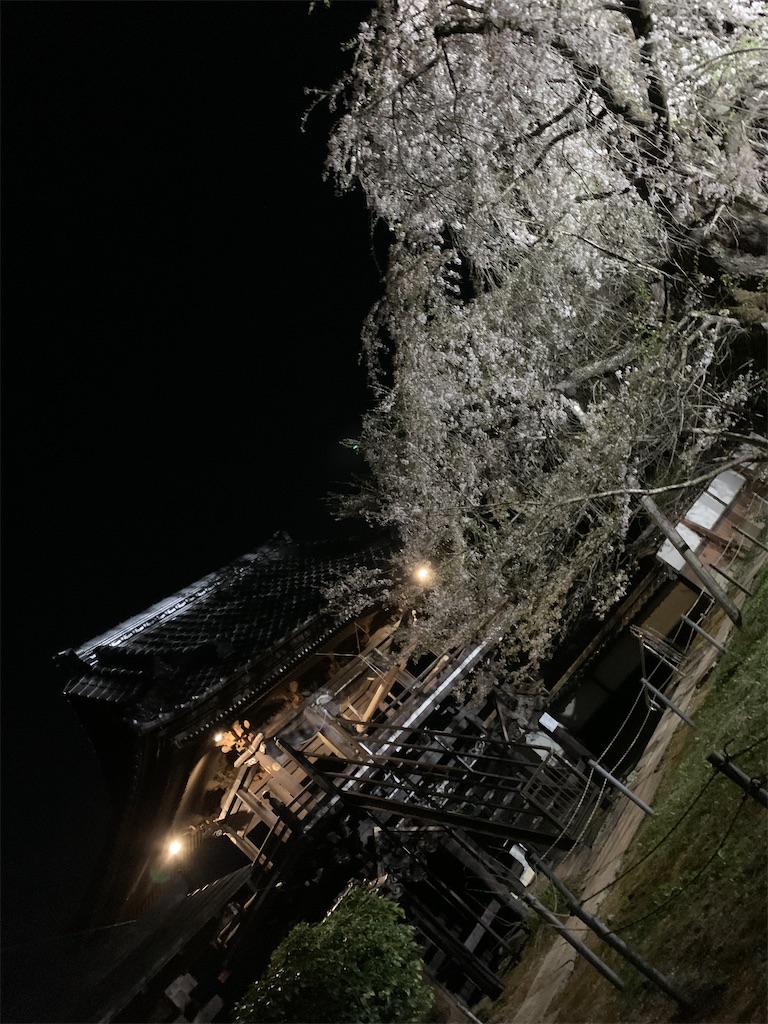 f:id:goukakuigakubu:20230405194856j:image