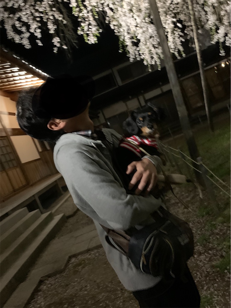 f:id:goukakuigakubu:20230405194859j:image