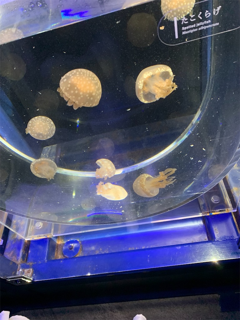 f:id:goukakuigakubu:20230420192904j:image