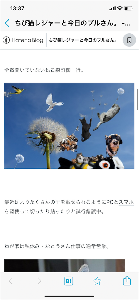 f:id:goukakuigakubu:20230502210213p:image f:id:goukakuigakubu:20230502210213p:image