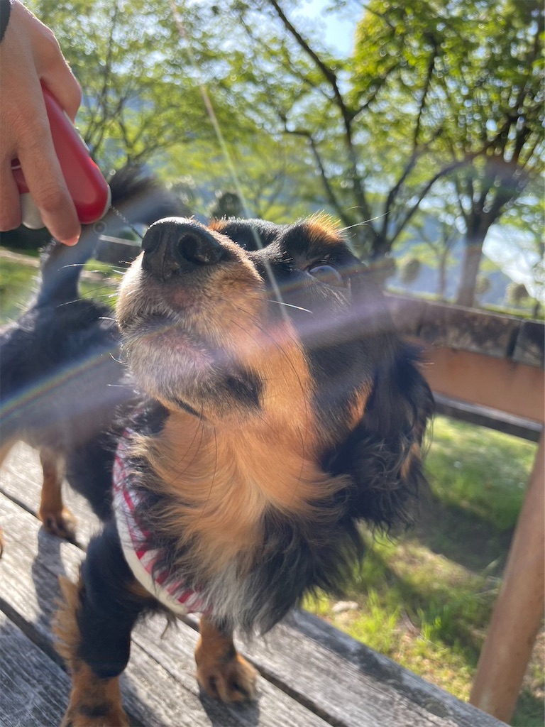 f:id:goukakuigakubu:20230607102744j:image f:id:goukakuigakubu:20230607102744j:image
