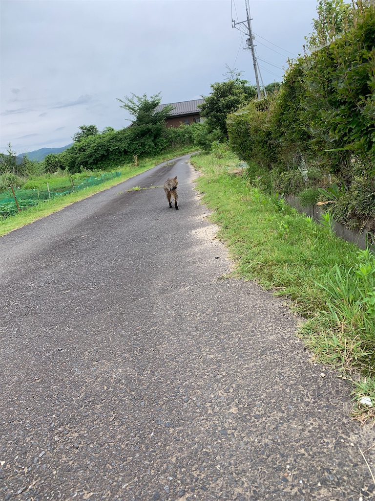 f:id:goukakuigakubu:20230705112559j:image f:id:goukakuigakubu:20230705112559j:image