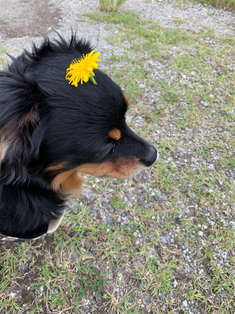 f:id:goukakuigakubu:20230705113003j:image f:id:goukakuigakubu:20230705113003j:image