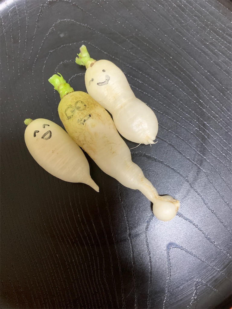 f:id:goukakuigakubu:20230708163958j:image