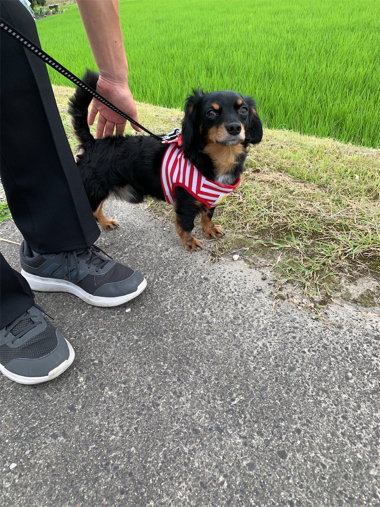 f:id:goukakuigakubu:20230708164224j:image