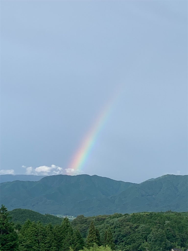 f:id:goukakuigakubu:20230711105001j:image