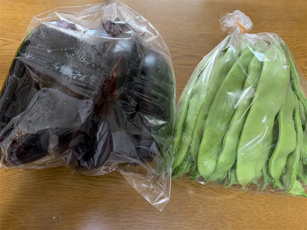 f:id:goukakuigakubu:20230713085551j:image