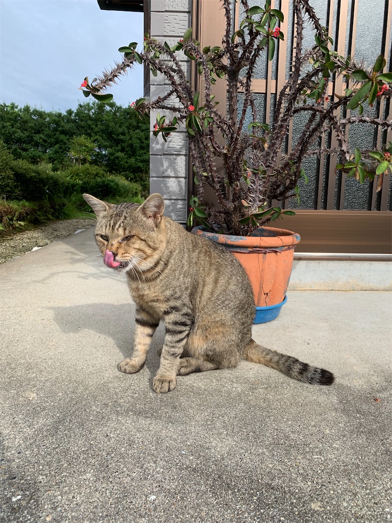 f:id:goukakuigakubu:20230715194932j:image