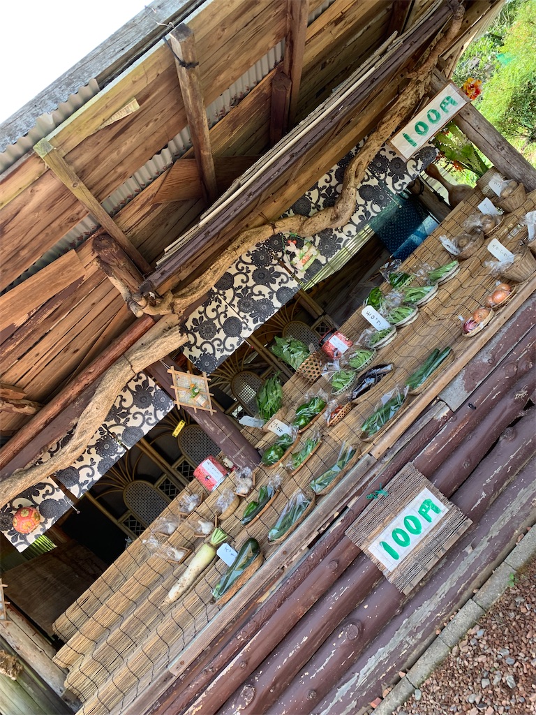 f:id:goukakuigakubu:20230718213802j:image