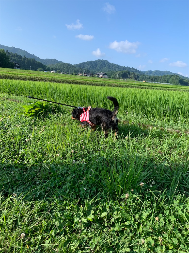 f:id:goukakuigakubu:20230724153213j:image