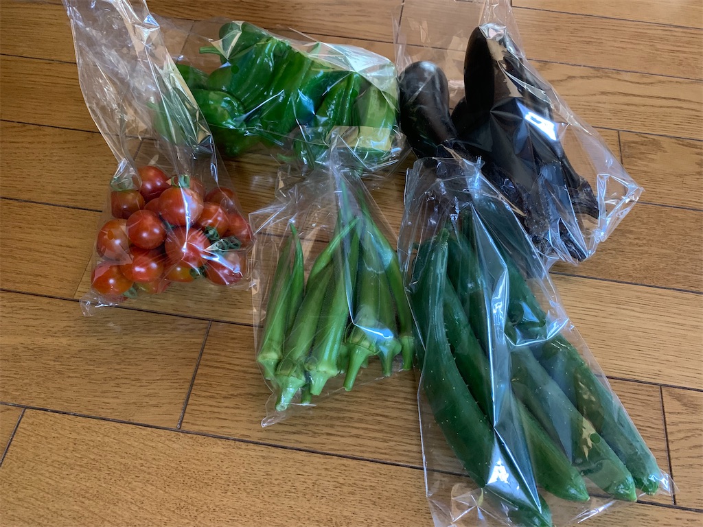 f:id:goukakuigakubu:20230726152818j:image