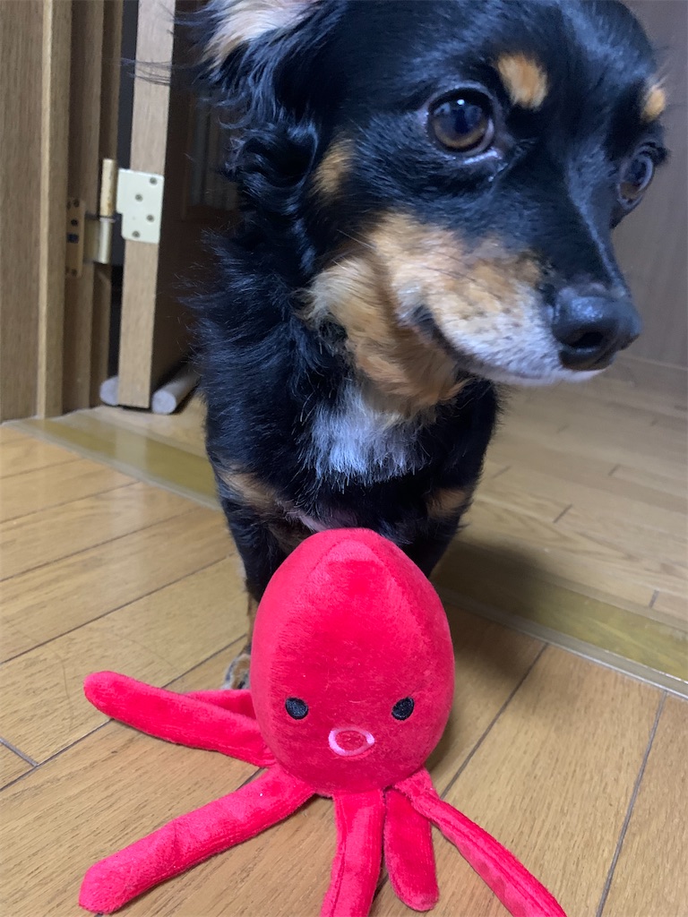f:id:goukakuigakubu:20230802124919j:image
