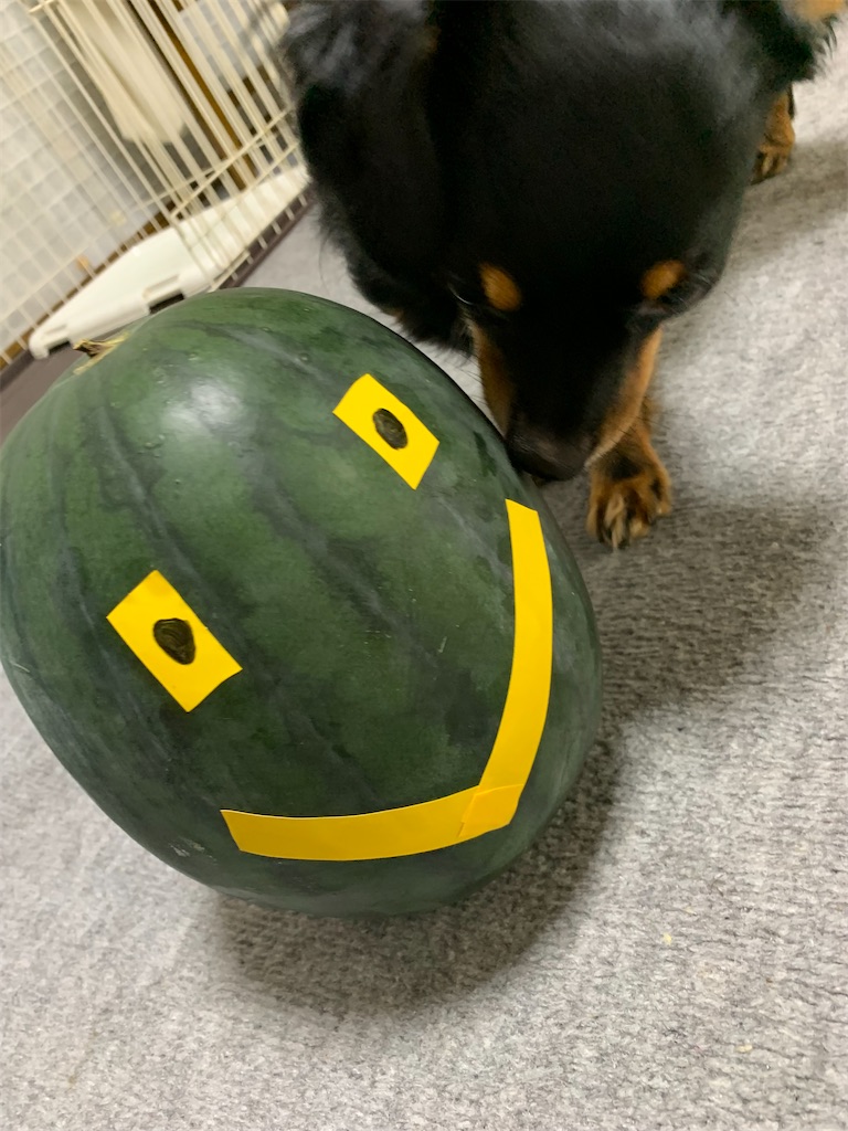 f:id:goukakuigakubu:20230822132816j:image