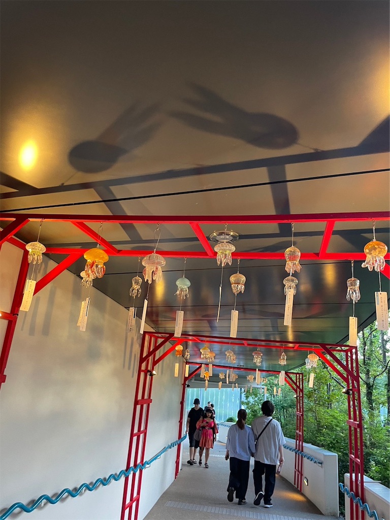 f:id:goukakuigakubu:20230911141254j:image