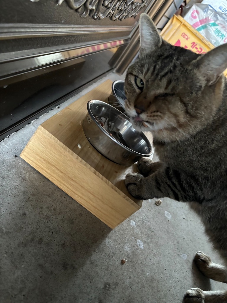 f:id:goukakuigakubu:20231016123512j:image