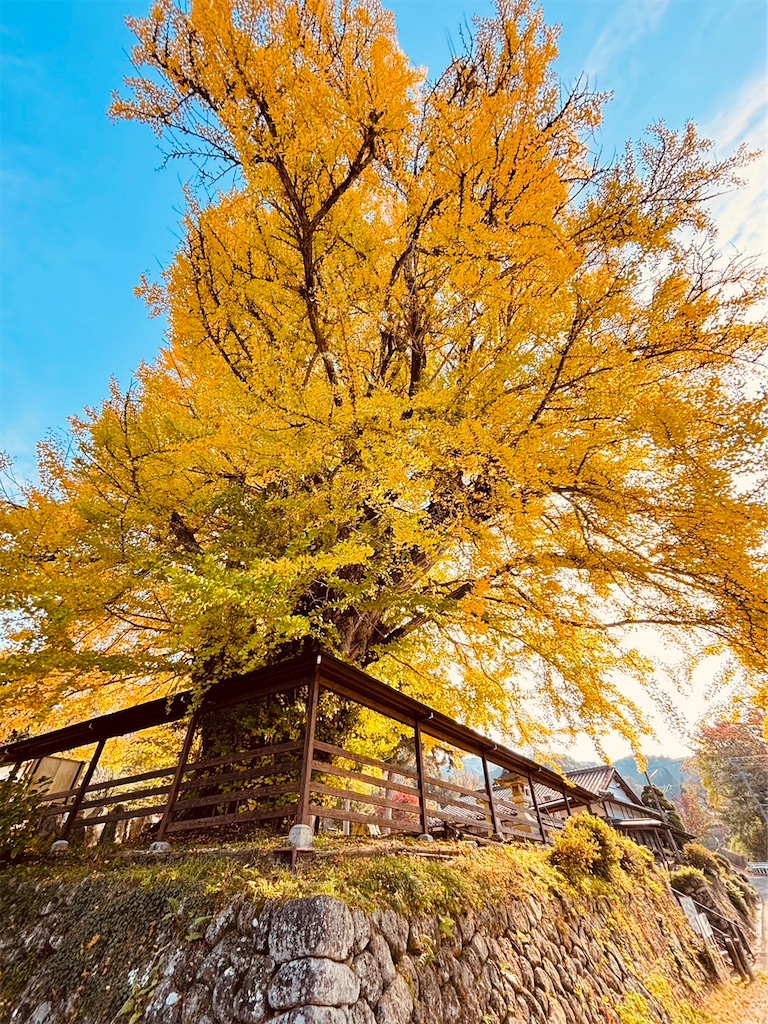 f:id:goukakuigakubu:20231107124406j:image f:id:goukakuigakubu:20231107124406j:image